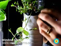 Window Farms by Britta Riley (interview with Maya Nayak) / Eyebeam Open Studios Fall 2009 / SML