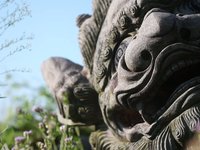 5D2 In Fujian (China)