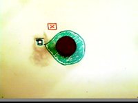 Stop motion - clay interface overlay