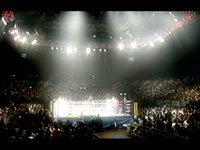 Knockout / Sonilum Comerciales