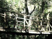 Cabreia - Portugal