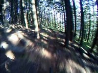 Nestor Peak