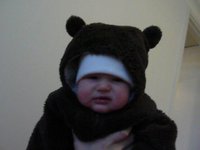 Little bear's new trick