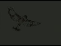 Hover
