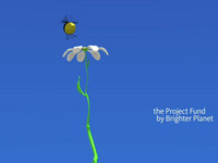 Microgrants for Climate Projects