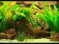 Aquarium