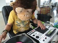 beat gorilla