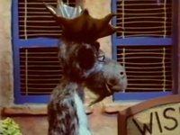 Morris Goes to School - Excerpt