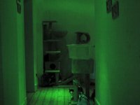 My quake-d corridor