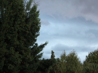 The Brewing Storm