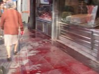 Ríos de Sangre - Protesta de Igualdad Animal