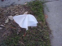 tissue peninsula park