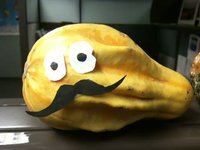 Mustached Gourds