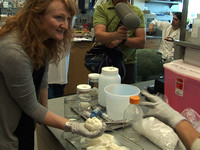 SoundSeen: Surprising Beauty, Holding A Pig's Heart