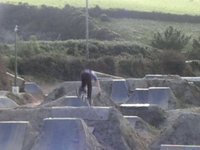 kings of the little line