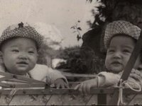 Guang - Forever Young