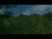 Newly Legal AdNow3 Teaser Trailer