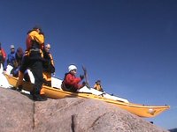 Seal Launch off Red Rock