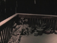 Six Inches of Snow in Forty Seconds