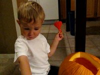 Tyler Halloween 2009 Pumpkins