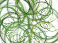 circles