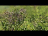 5d  test 1