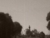 Life Without Wind