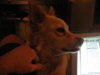 Sadie & Ennio