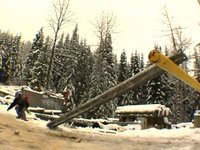 First Day: 'Peak Season' is just around the corner.
