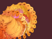 oneseconds: reinterpreting 16th century paintings