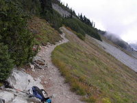 Pinnacle Saddle