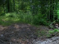 090711 XTERRA SUGARBUSH Pre-RUN stills