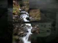 Navigators Go Wild in Wales 09