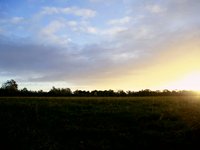 Sunrise in Black Park, Buckinghamshire