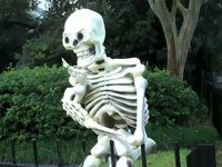 Gamboling Skeleton Tableau, St Charles Avenue at State Street, New Orleans 10 28 2009