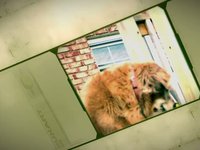 FilmStrip