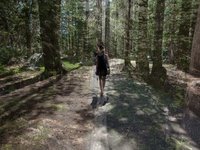The Trail