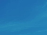 10 FACTS ON GOSO & SOCIAL MEDIA
