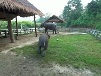 Khelang with new toy..
