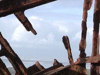 Shipwreck Remains