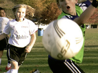 Crossfire: In it to win it