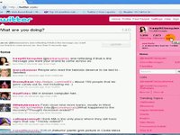 Twitter Lists