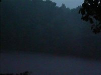 and more summer rain...