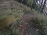 Mountain Biking near Salzburg - ContourHD 1080p