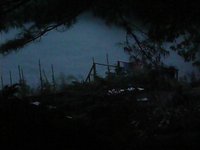 yet more summer rain...