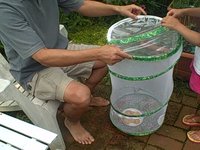 Releasing the Butterflies 1