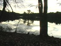 The start of November