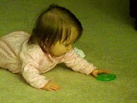 Reagans first crawl