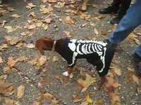 Duncan Halloween Parade