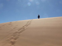 Coral Pink Sand Dunes